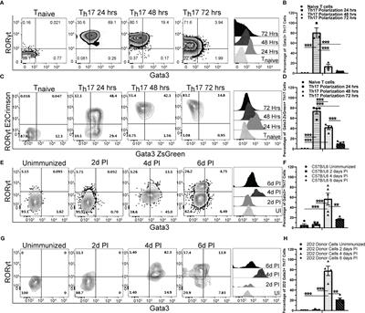 GATA3 induces the pathogenicity of Th17 cells via regulating GM-CSF expression